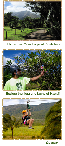 The Maui Tropical Plantation, the flora and fauna of Hawaii and the Maui Zipline Company Zip Tour